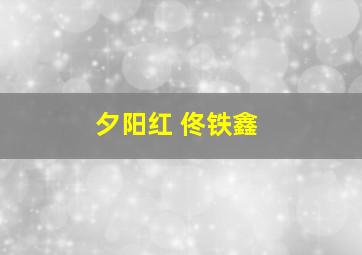 夕阳红 佟铁鑫